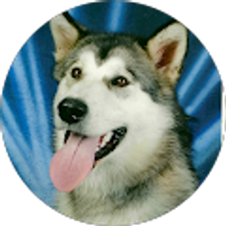 Profile photo of frank gorecki