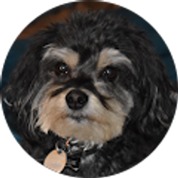 Profile photo of Patrick Moore