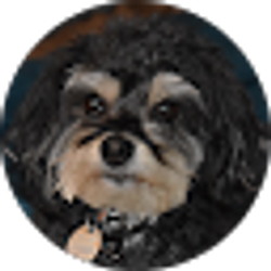 Profile photo of Patrick Moore