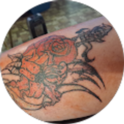 Profile photo of Pamela Ward