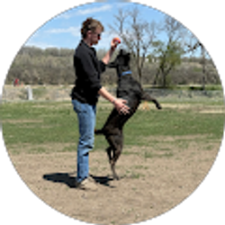 Profile photo of Levi Daniels