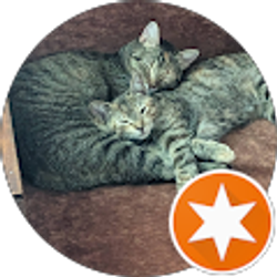 Profile photo of paolo f