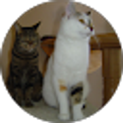 Profile photo of Danny Gregory