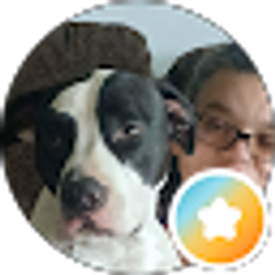 Profile photo of Katie Reynolds - Andres