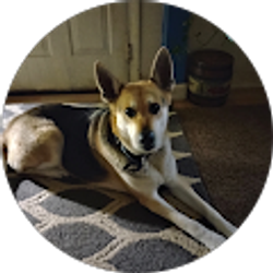 Profile photo of vickie rekasie