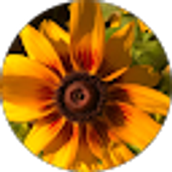 Profile photo of Annie Rodenborg