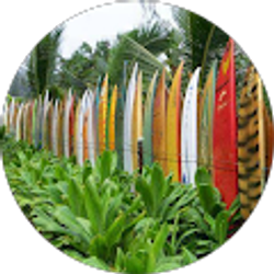 Profile photo of lea spalo