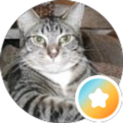 Profile photo of rus maxham