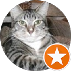 Profile photo of rus maxham