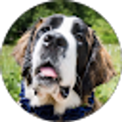 Profile photo of Brittany Owen