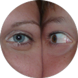 Profile photo of Renee Homan