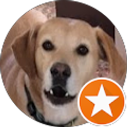 Profile photo of Angie Cabell