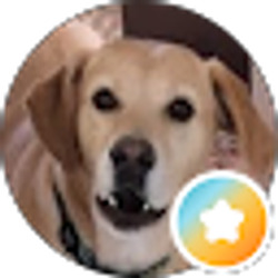 Profile photo of Angie Cabell