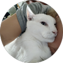 Profile photo of Billijo Shaw