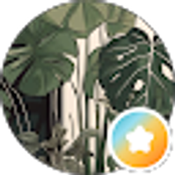Profile photo of Jasmine