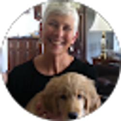 Profile photo of Jan Hoffman