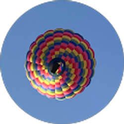 Profile photo of T N