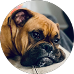 Profile photo of Scotti