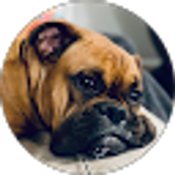 Profile photo of Scotti