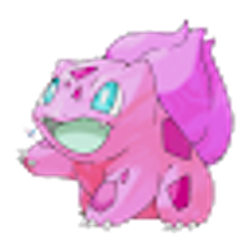 Profile photo of Brighton Stoops