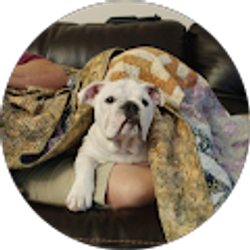 Profile photo of Glenda Rowe