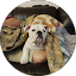 Profile photo of Glenda Rowe