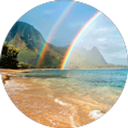 Profile photo of Trevia Holland