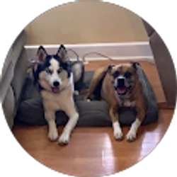 Profile photo of Anita Stamps