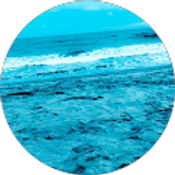 Profile photo of Melachi Wright