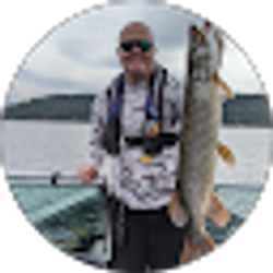 Profile photo of Brad Bailey