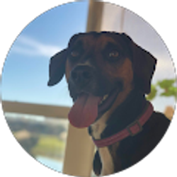 Profile photo of Gracie Culver