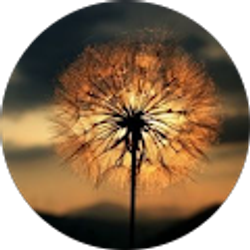 Profile photo of Wishful Thinking