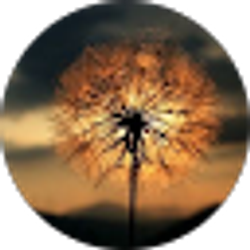 Profile photo of Wishful Thinking