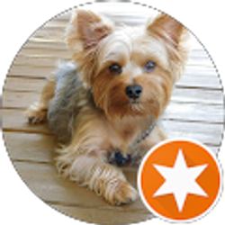 Profile photo of Larry Taylor