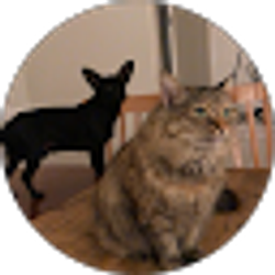 Profile photo of Jessica harmon