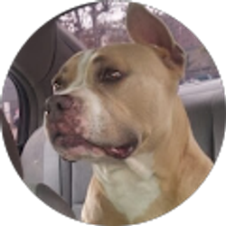 Profile photo of Manny Angui.