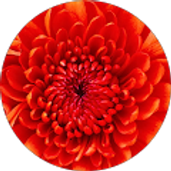 Profile photo of April Beckwith