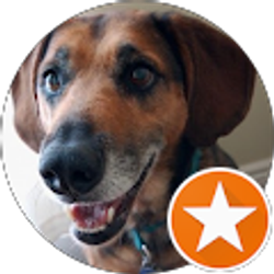 Profile photo of Matthew Webber