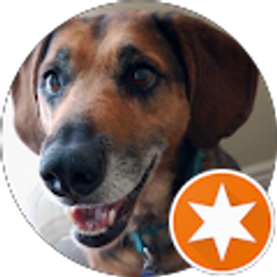 Profile photo of Matthew Webber