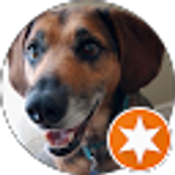 Profile photo of Matthew Webber