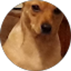 Profile photo of Patjen Winn