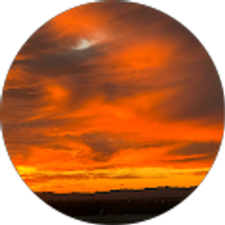 Profile photo of Catherine T