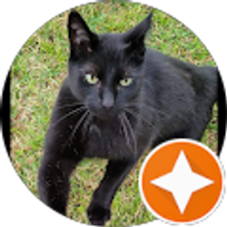 Profile photo of Michele Futrell