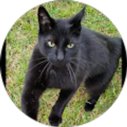 Profile photo of Michele Futrell