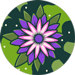 Profile photo of Iveth Perez