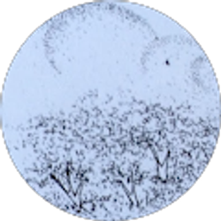 Profile photo of Loralrgd25 !
