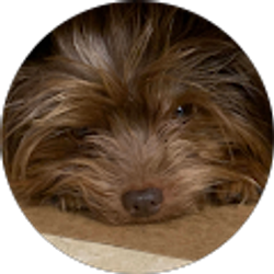 Profile photo of Rebecca Audette