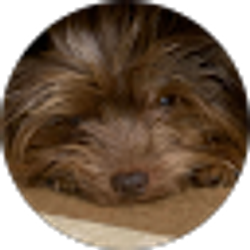 Profile photo of Rebecca Audette