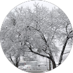 Profile photo of Jami McDaniel