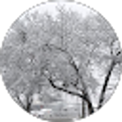 Profile photo of Jami McDaniel